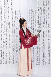 20日汉服成品市场行情速览 传统与现代的交织